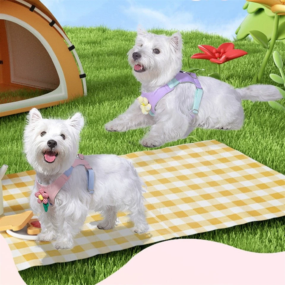 Macarons Dog Harness high quality