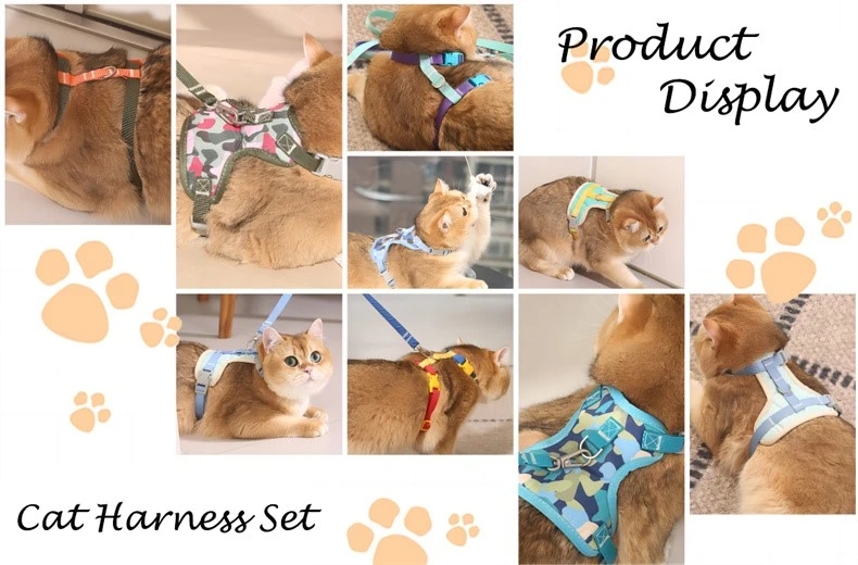 product-790-520