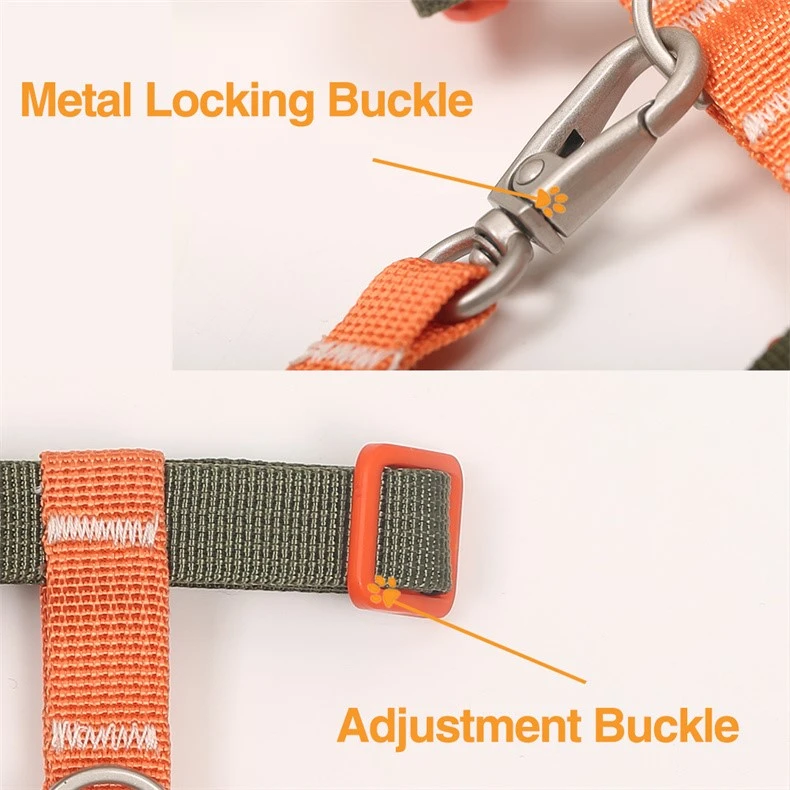 product-790-790
