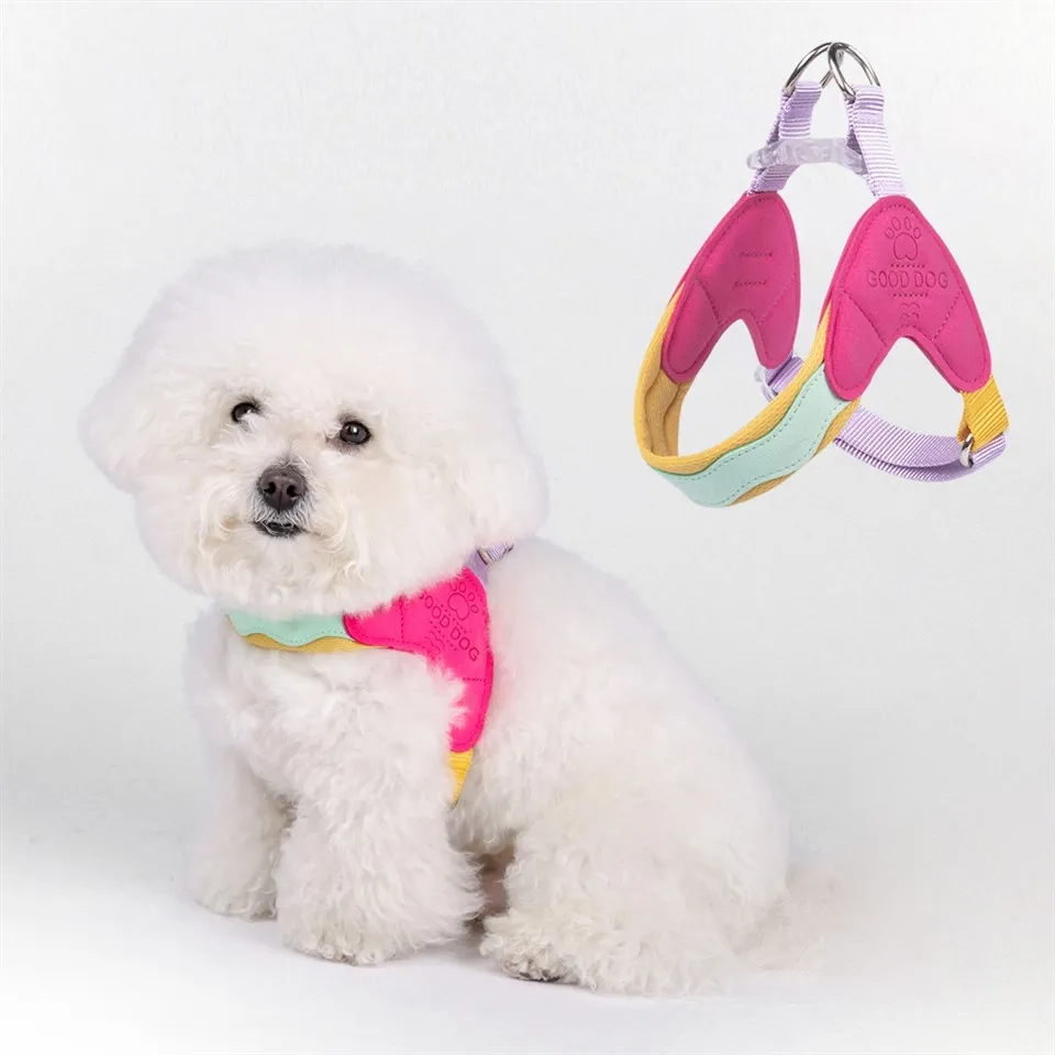 Hvalpeseler til små hunde