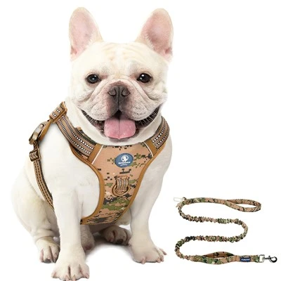 Basic pudesele og hundesnor